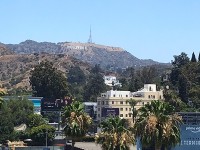 Hollywood