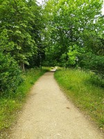 Addison’s Walk：１周20分くらいの散歩道