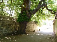 Lamb & Flag Passage