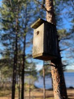 森の中には鳥小屋も