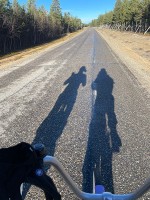 周辺をサイクリング