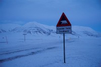 ホッキョクグマ注意の標識。この標識より先では、安全のために銃を携帯することが義務付けられています。