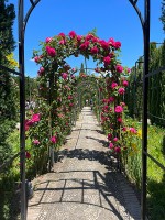 薔薇満開のアルハンブラ宮殿