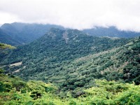 Sarramea山頂からの景色