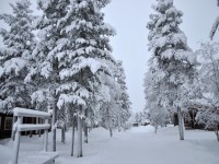 ホテル近辺の風景。気温は-24℃～-15℃で終日曇ってました。晴れればもっと下るのでしょう。