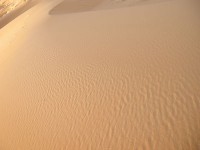 サハラの風紋
