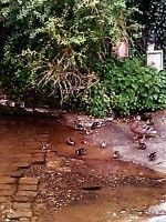 コッツウォルズの街並み