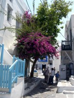 Mykonos town