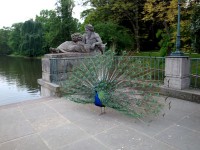 ワジェンキ公園