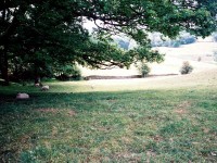 ファー･ソーリー村の牧場