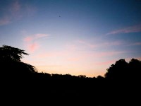 バイブリー･コートの夜明け