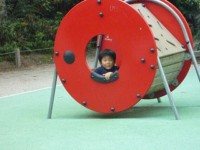 【写真62】
