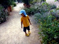 【写真67】