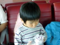【写真114】