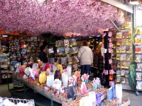 【写真2】