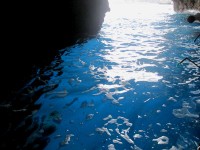 イソラベッラより青の洞窟