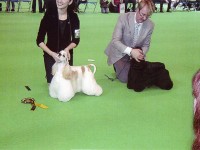 【写真1】