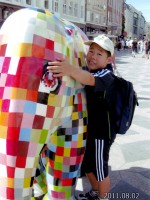 写真