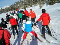 【写真 7】