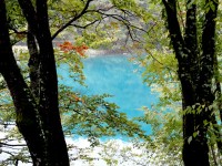プリトヴィッツェの風景（1）