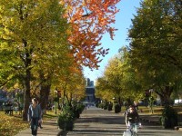 マギル大学