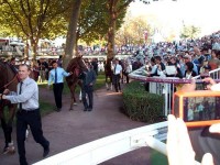 ロンシャン競馬場のパドック