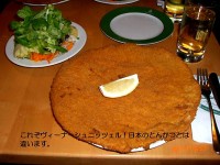 これぞヴィーナーシュニッツェル！日本のとんかつとは違います。