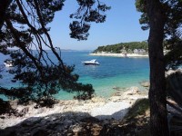 海沿い散歩の途中の景色