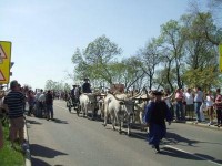 Parade
