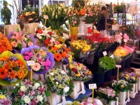 ニースの花市（1）