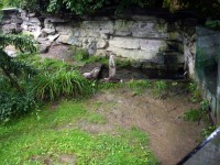 ケルン動物園