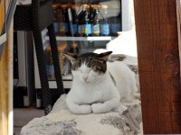 売店の店先で