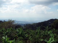 from Ovservatory
