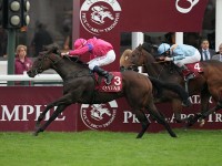 8R は1400m戦 （ Prix de la Foret ）