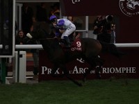9Rはここにきて何と4000m戦 Prix du Cadranです。さすがにこの時間になると薄暗かったです。そして、何より寒い！