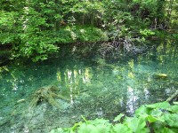 エメラルドグリーンの水