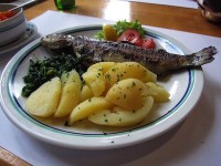 ポルヤーナのマス料理