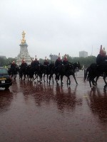 小雨の中帰っていくROYAL HORSE GUARD
