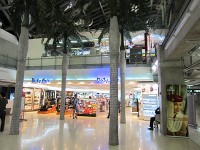 バンコクの空港内に木が生えていました。（もちろん本物ではありません）