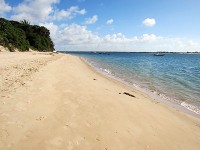 海岸の様子