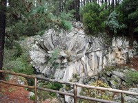 テイデ山の石の花