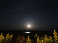 夜の砂漠