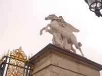 ルーブル美術館は休館日なので、お庭をお散歩です