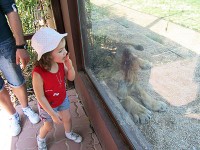 イナシャオ動物園