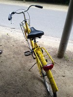 アムステルダム・サイクリング