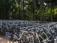 クレラ・ミュラーでの自転車
