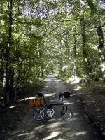 郊外のサイクリングロード②