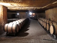 ボルドー　シャトー・ポンテカネ地下カーブ