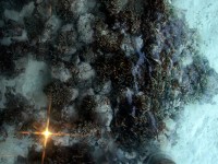 水上コテージでの足元の景色