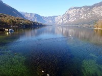 ボヒニュ湖